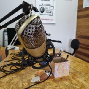 WhatsApp Image 2024-11-23 at 6.16.08 PM